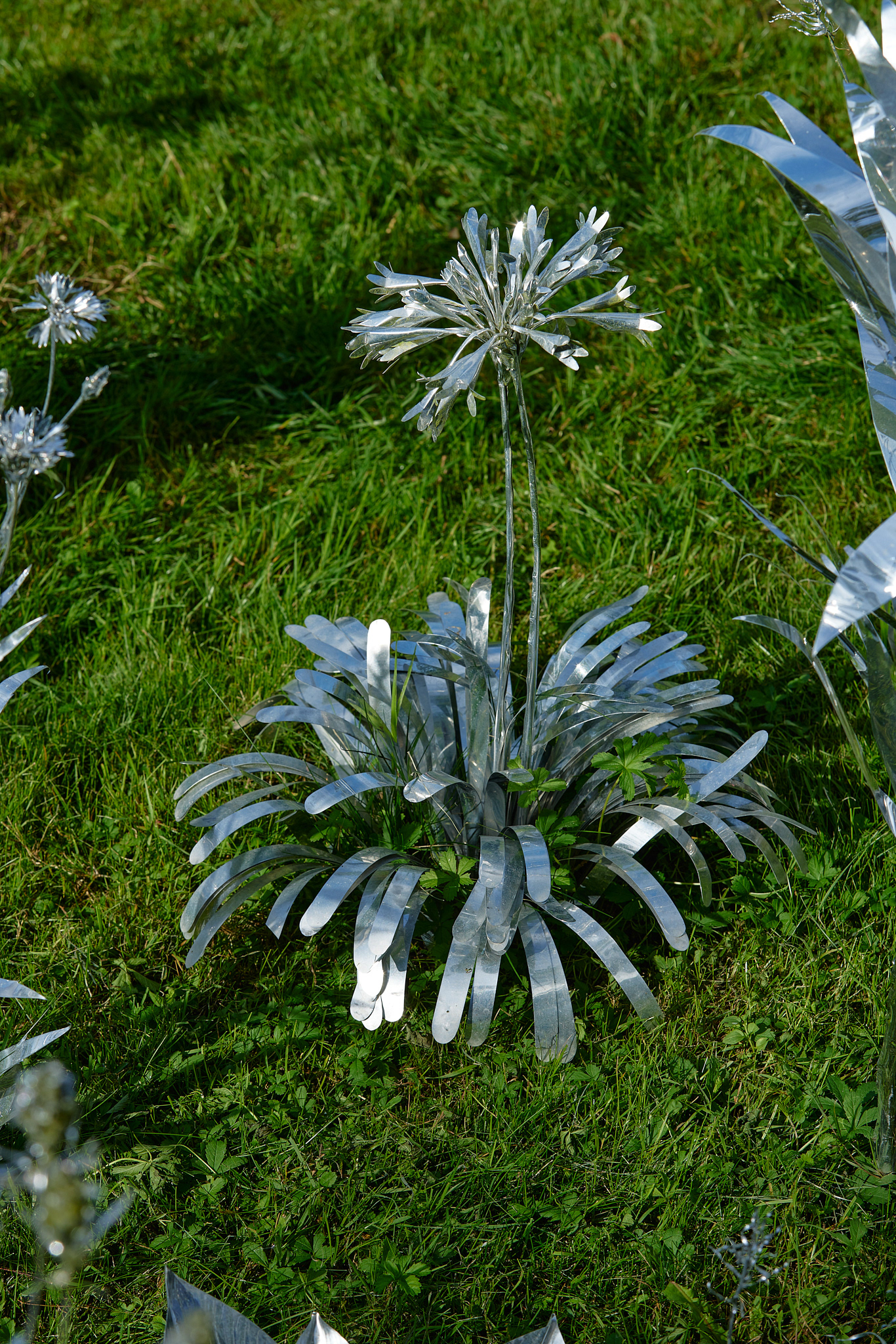 Title: The aluminum garden -structural studies of plants- mirror surface, Year:2024 Photo by Shinji Minegishi