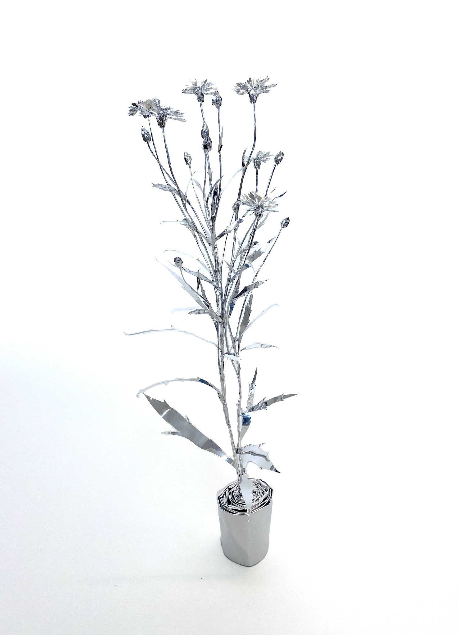 The Aluminum Garden -Structural Studies of Plants- Bachelor's button Year: 2023 Size: 86x30x30/(h)x(w)x(d)cm Material: Aluminium foil 0.2mm (Mirror polished surface) ◻️1730EURO (+TAX)