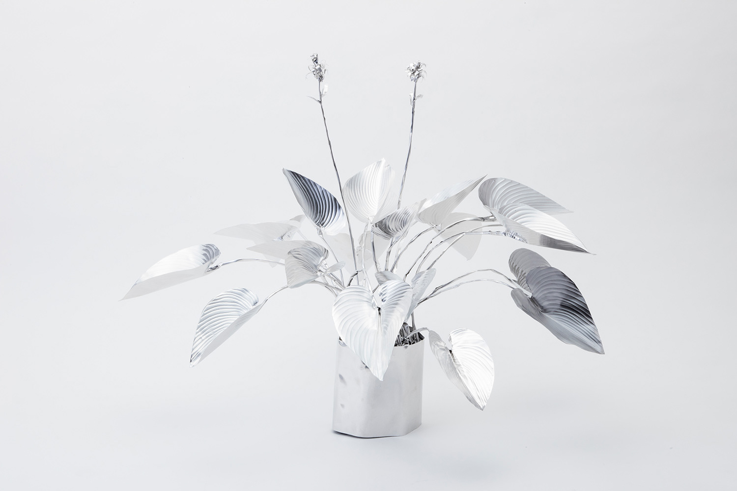 TITLE: The Aluminium Garden -Structural Studies of Plant- Plantain Lilies MATERIAL: Aluminium foil 0.2mm ◻️800EUR(+TAX) Size: 50(h)x40x40cm