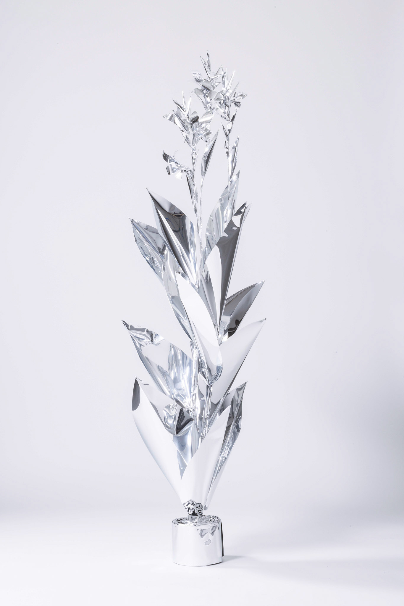 The Aluminum Garden -Structural Studies of Plants- Canna Indica Year: 2022 Size:160x50x50(h)x(w)x(d)cm Material: Aluminium foil 0.2mm (Mirror polished surface) 