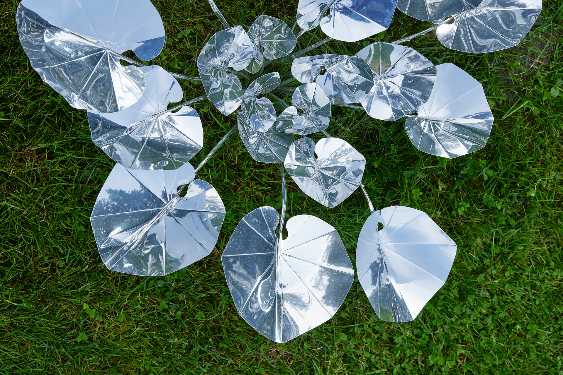 Title: The aluminum garden -structural studies of plants- mirror surface, Year:2024 Photo by Shinji Minegishi