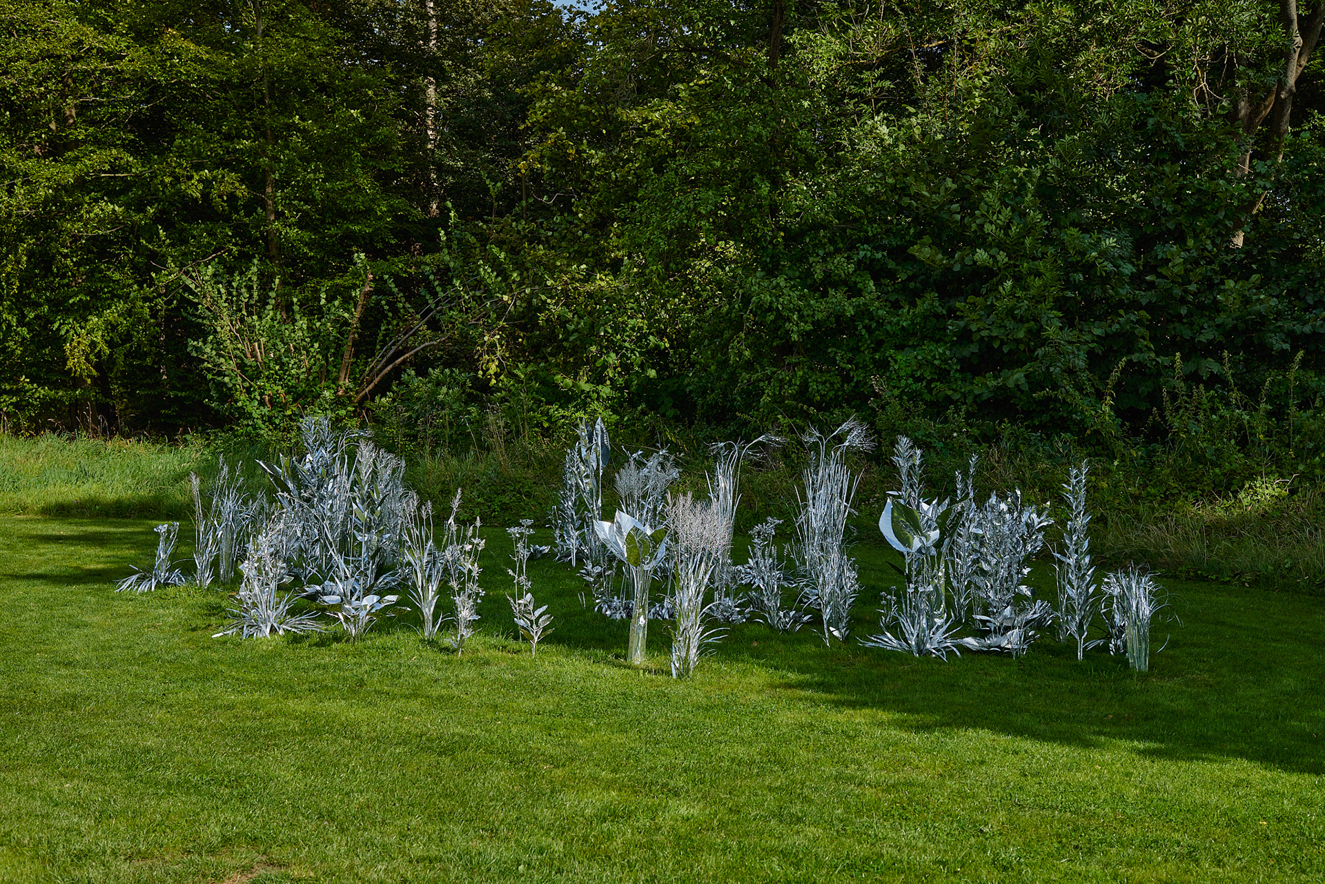 Title: The aluminum garden -structural studies of plants- mirror surface, Year:2024 Photo by Shinji Minegishi