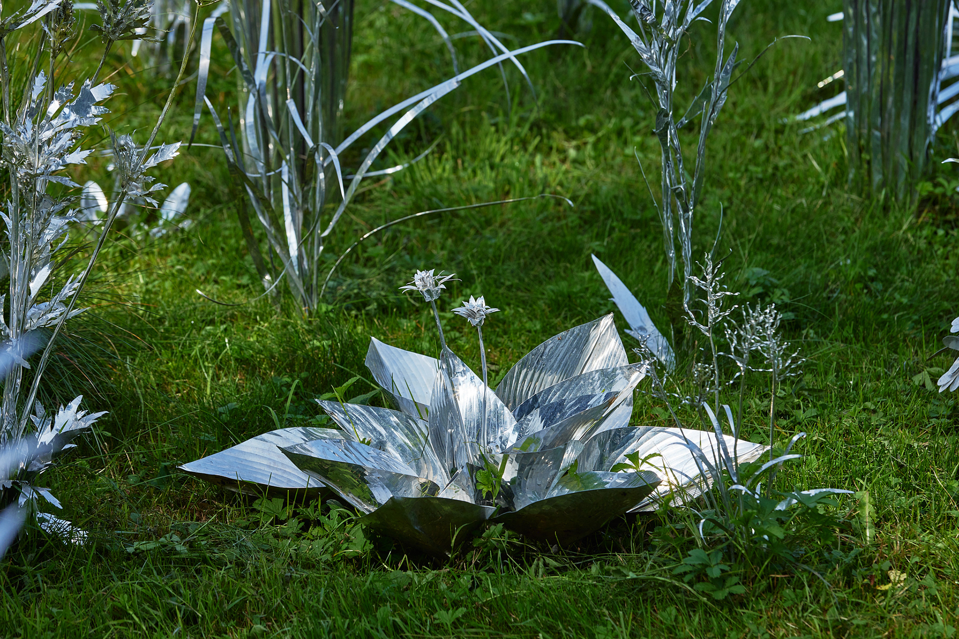 Title: The aluminum garden -structural studies of plants- mirror surface, Year:2024 Photo by Shinji Minegishi