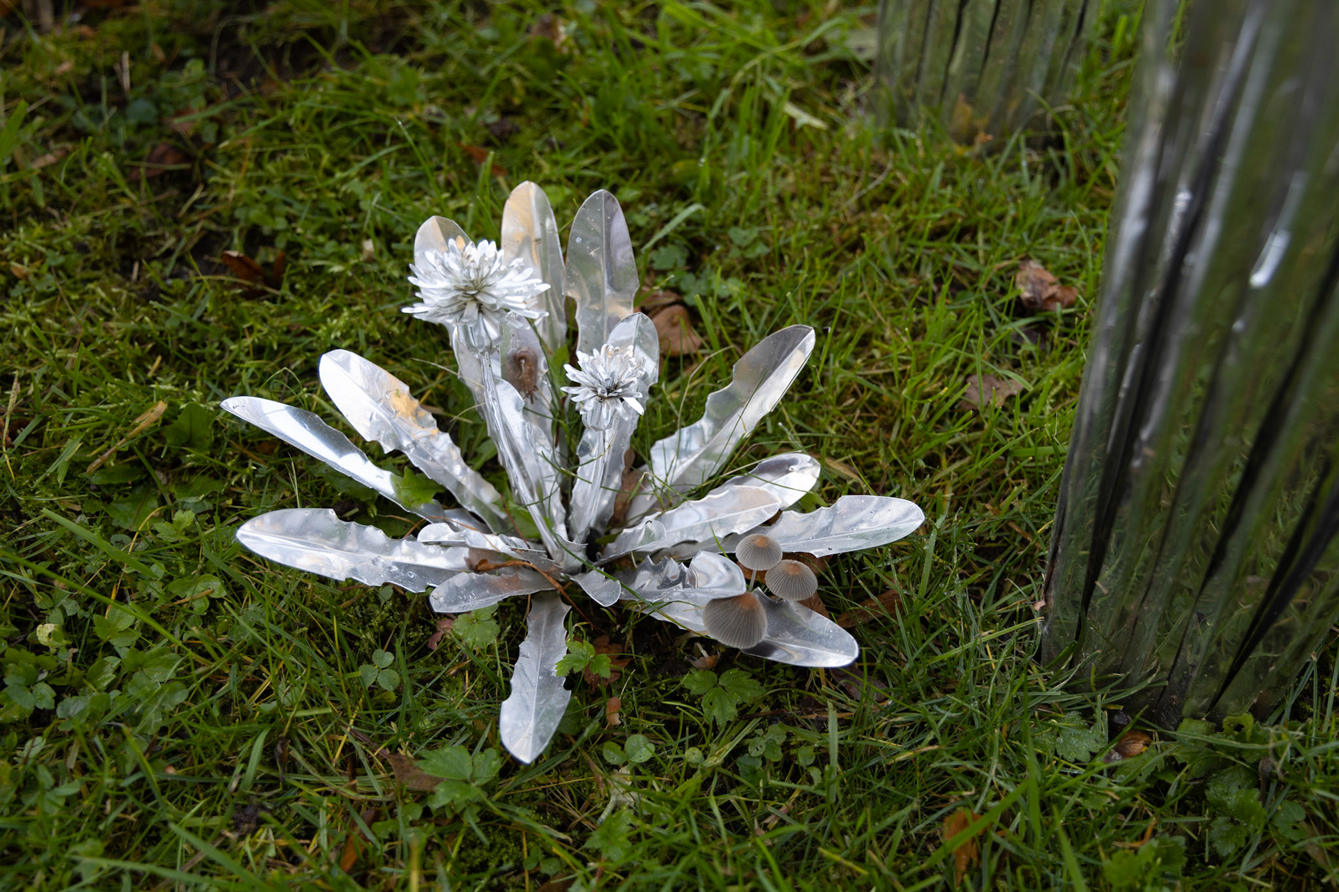 Title: The aluminum garden -structural studies of plants- mirror surface, Year:2021, Material: Aluminium Foil 0.2mm, Photo by S