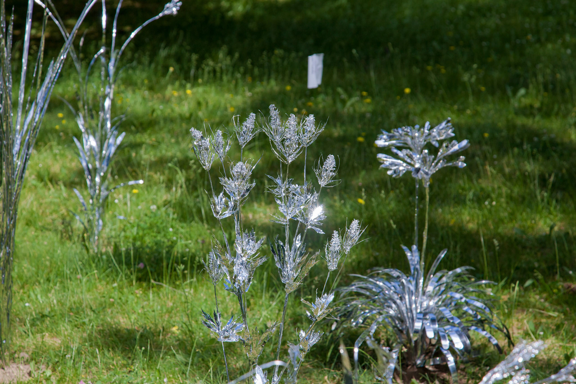 Title: The aluminum garden -structural studies of plants-  Material: Aluminium Foil Mirror polished surface 0.2mm Photo by Joanna Szproch
