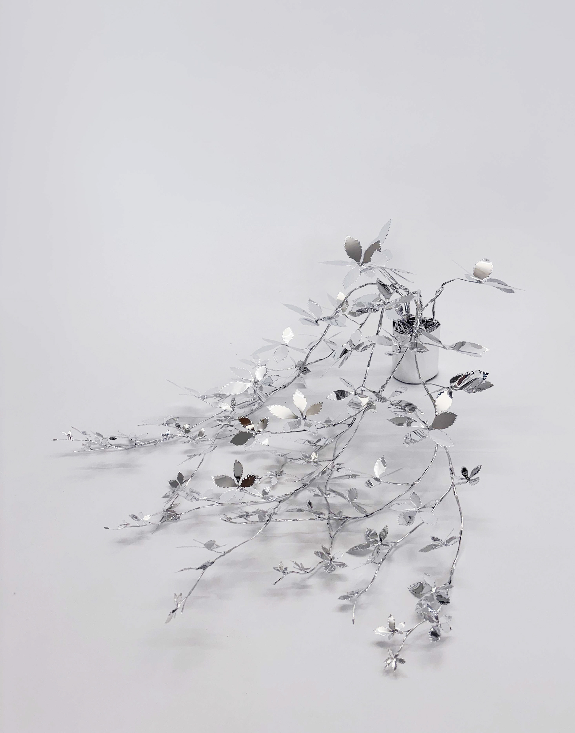 The Aluminum Garden -Structural Studies of Plants- Virginia creeper Year: 2025 Size: 35x90x60/(h)x(w)x(d)cm Material: Aluminium foil 0.2mm (Mirror polished surface)