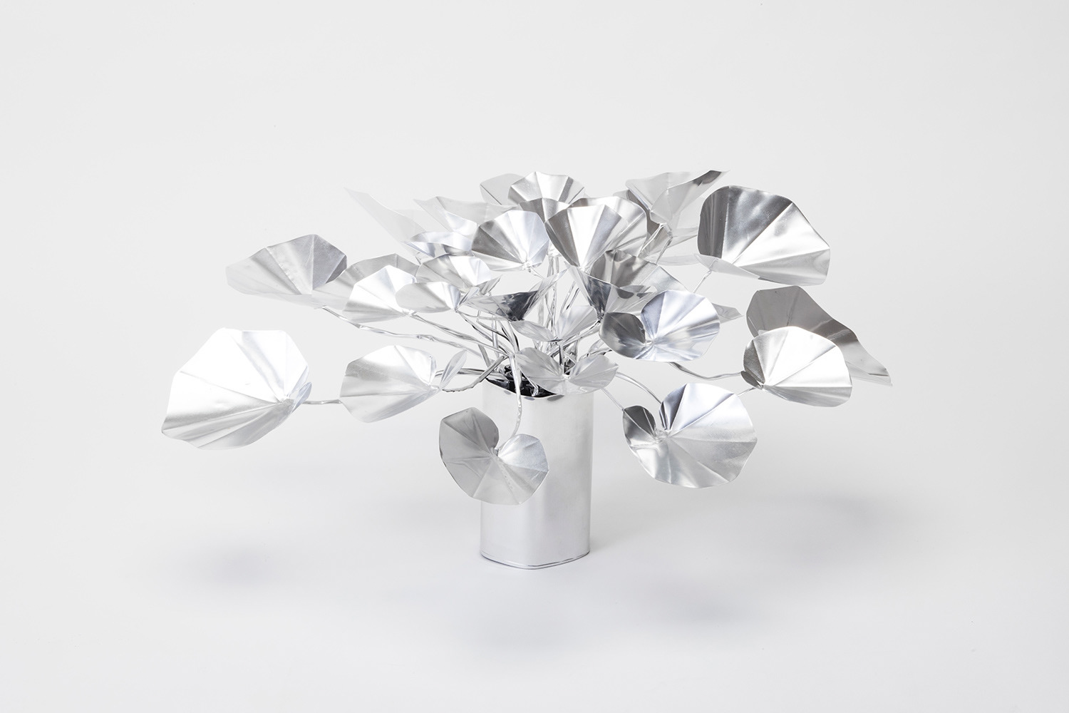 TITLE: The Aluminium Garden -Structural Studies of Plant- Leopard Plant MATERIAL: Aluminium foil 0.2mm ◻️800EUR(+TAX) Size: 45(h)x65x65cm