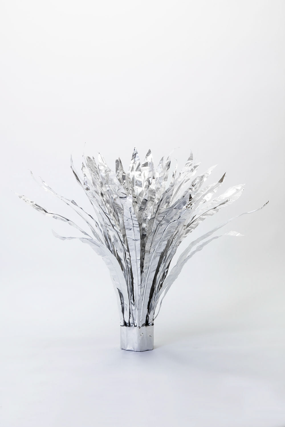 TITLE:  The Aluminium Garden -Structural Studies of Plant- Asplenium MATERIAL: Aluminium foil 0.2mm Photo by Shinya Kigure 