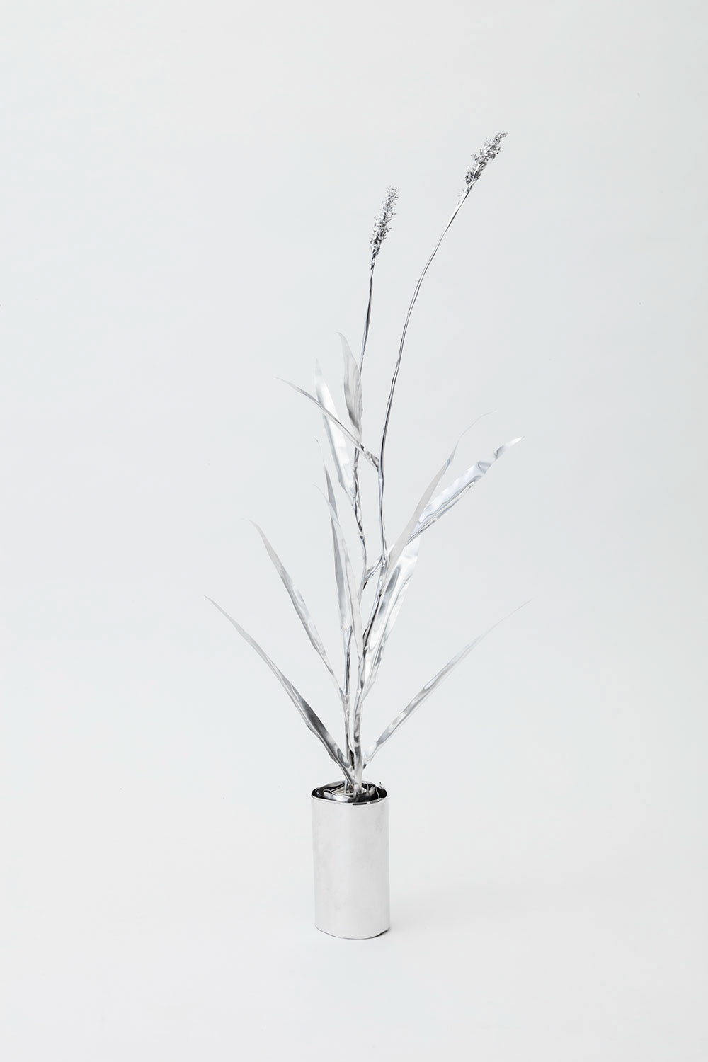 TITLE:  The Aluminium Garden -Structural Studies of Plant-Fox tail/single MATERIAL: Aluminium foil 0.2mm Photo by Shinya Kigure 