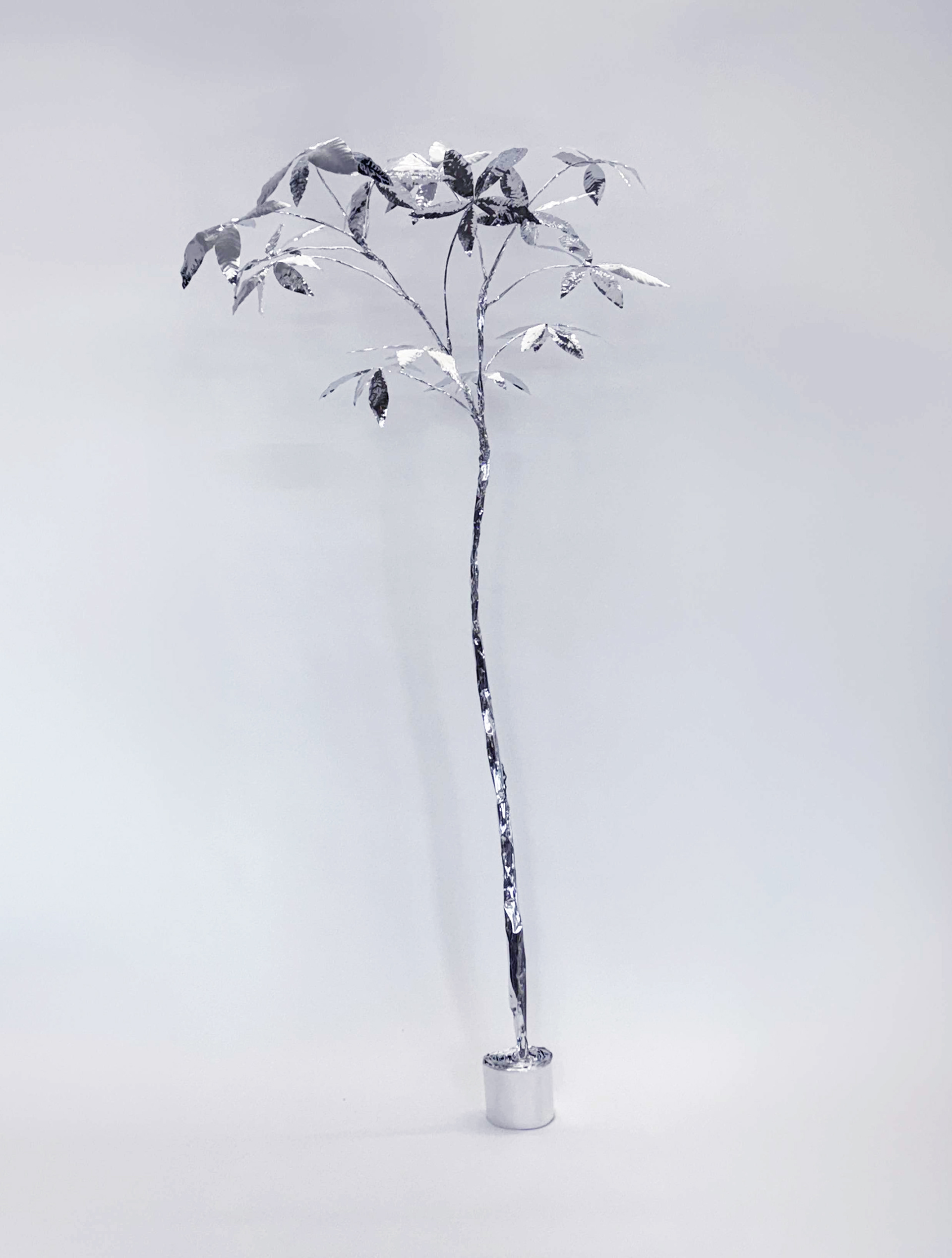 The Aluminum Garden -Structural Studies of Plants- Pachira Small Year: 2026 Size: 220x120x80 (h)x(w)x(d)cm Material: Aluminium foil 0.2mm (Mirror polished surface)