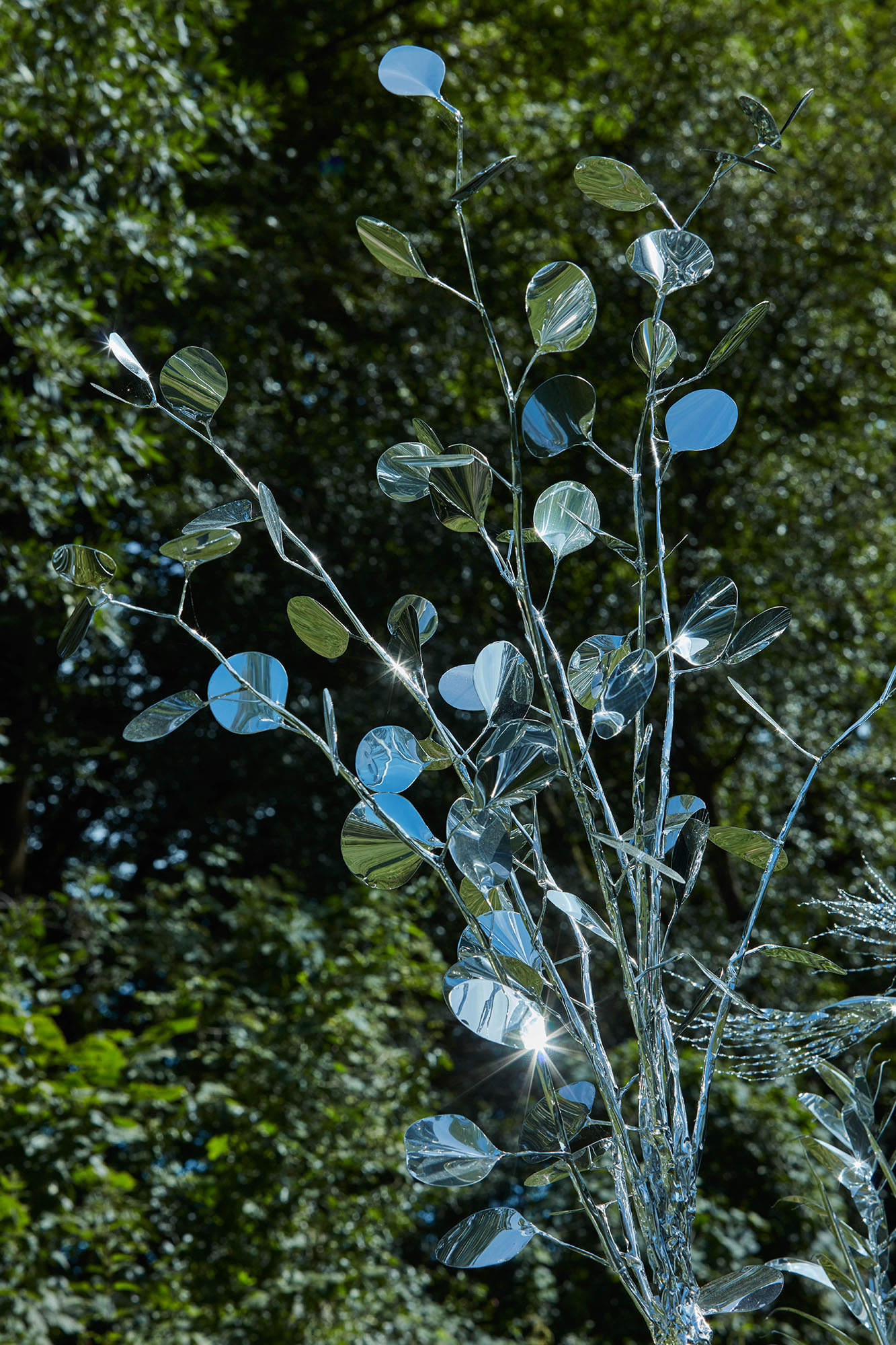 Title: The aluminum garden -structural studies of plants- mirror surface, Year:2020, Material: Aluminium Foil 0.2mm, Photo by Shinji Minegishi