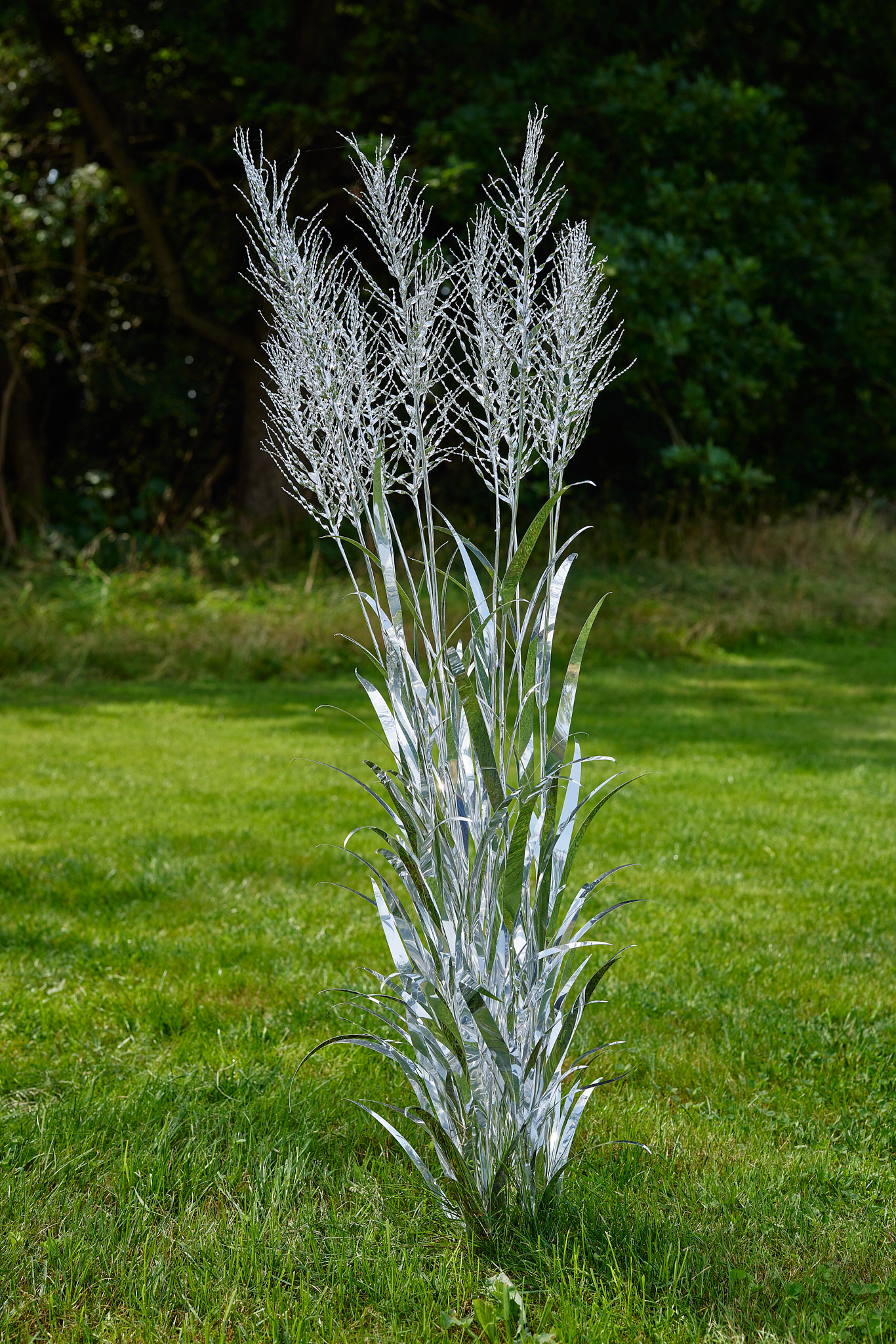 Title: The aluminum garden -structural studies of plants- mirror surface, Year:2024 Photo by Shinji Minegishi