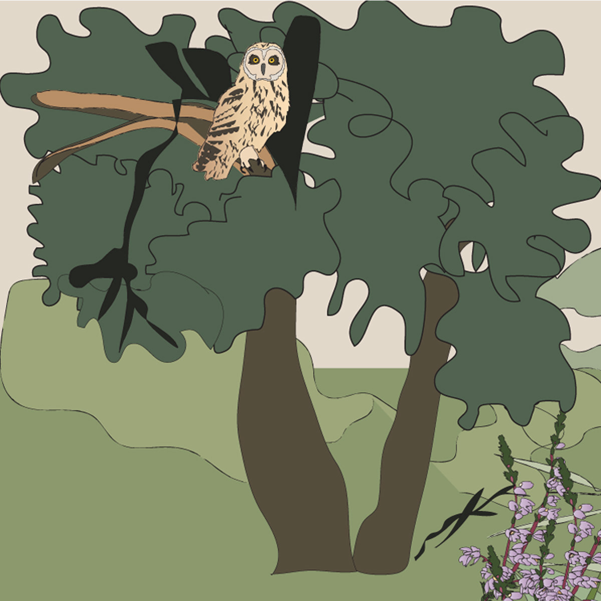 Book Illustration