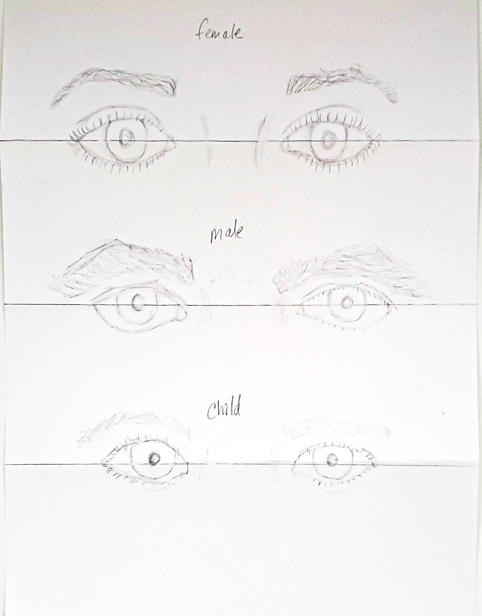 Eye study