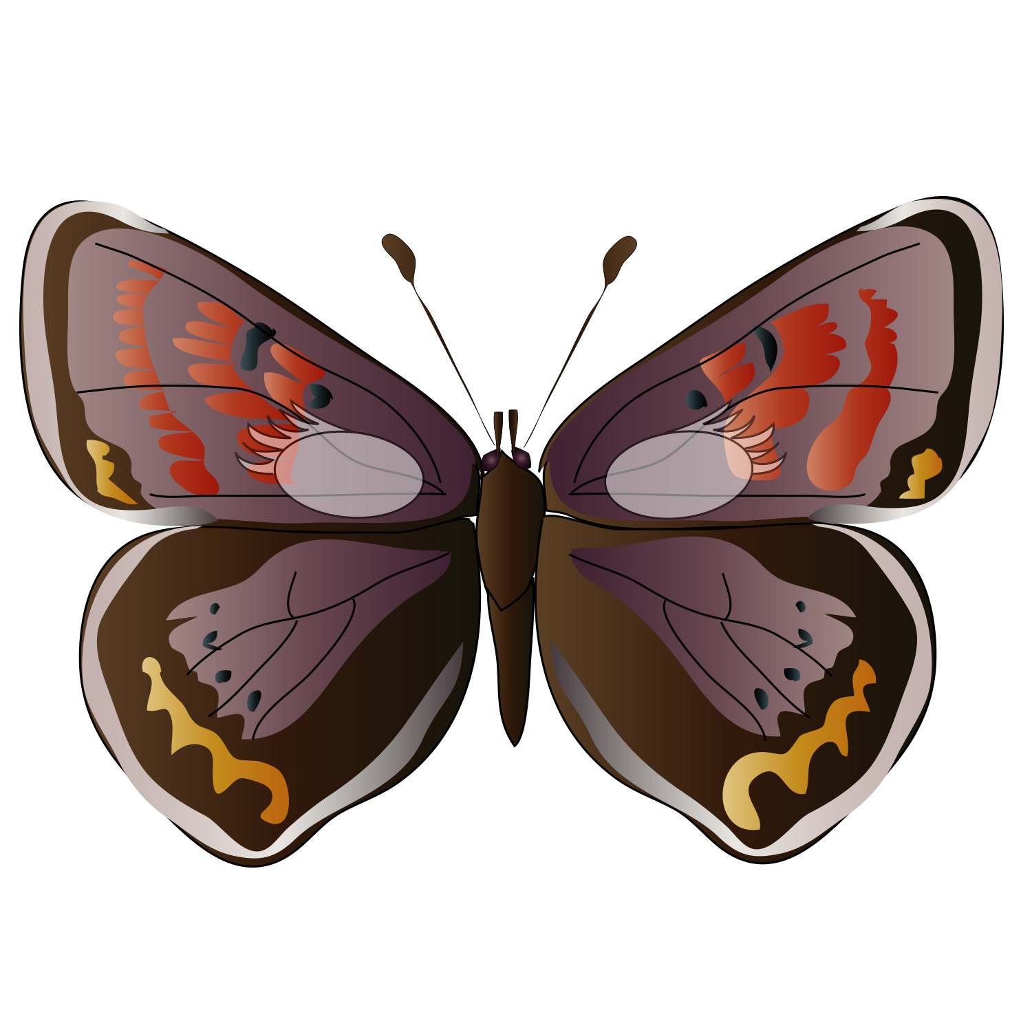 Book Illustration