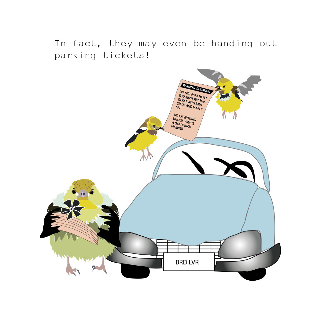 Book Illustration