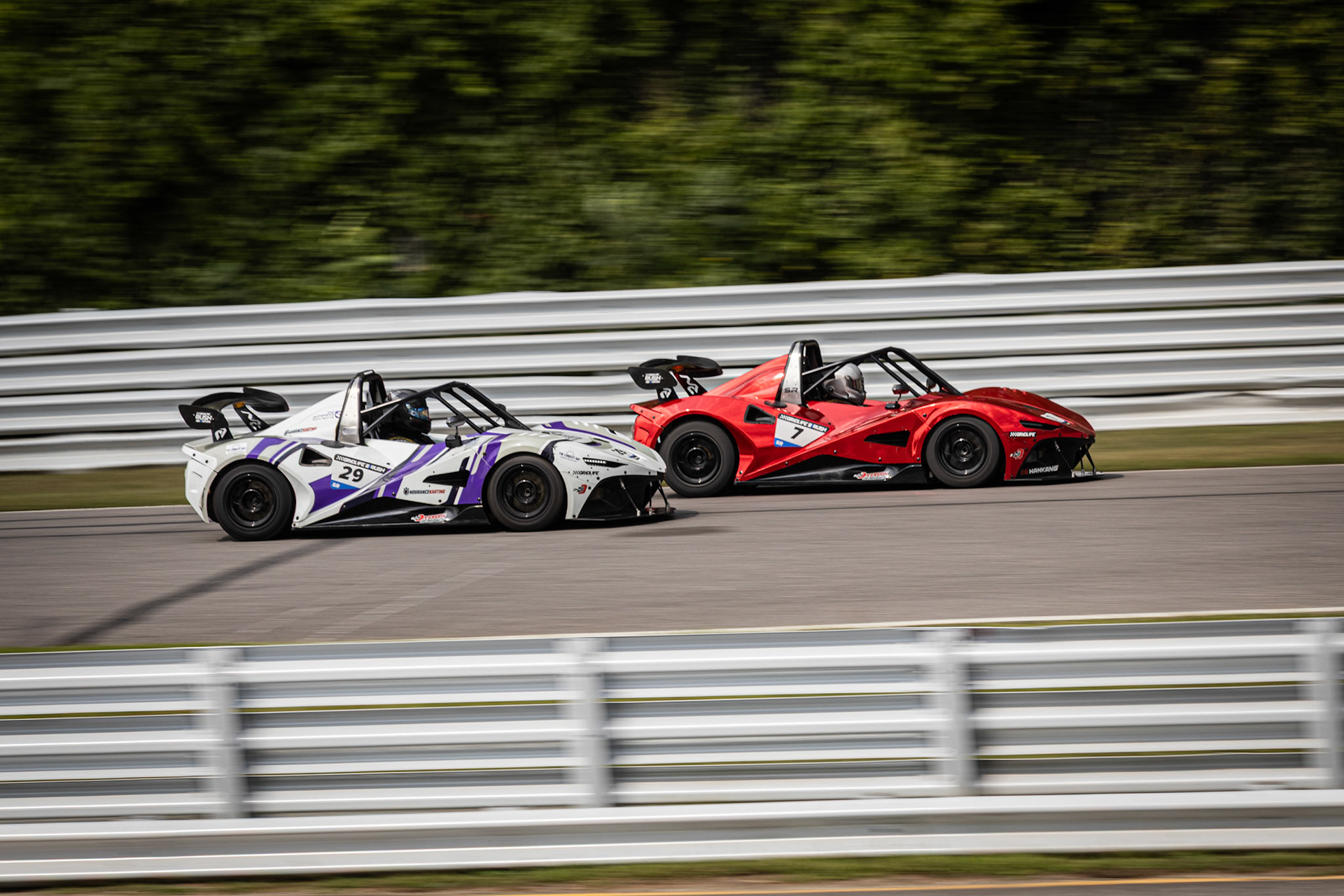 Canon EF 70-200mm f/4l IS USM - 1/200s- f/7.1 - ISO 100