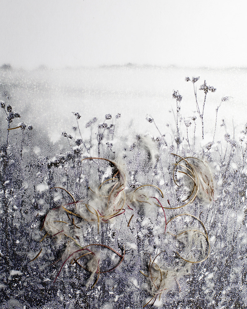 Untitled (Autumn 4), 2013 Gicleé print 18 x 23 cm, Edition 10 + 2 AP, Prints available