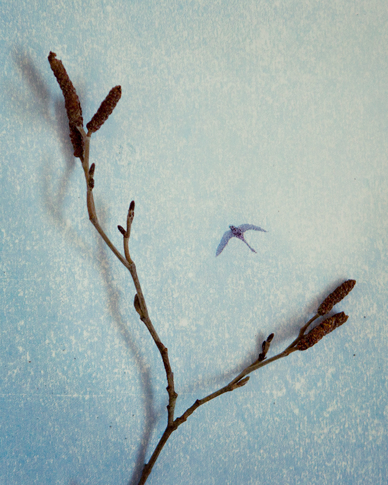 Untitled (Halla 1), 2013 Gicleé print 18 x 23 cm, Edition 10 + 2 AP, Prints available