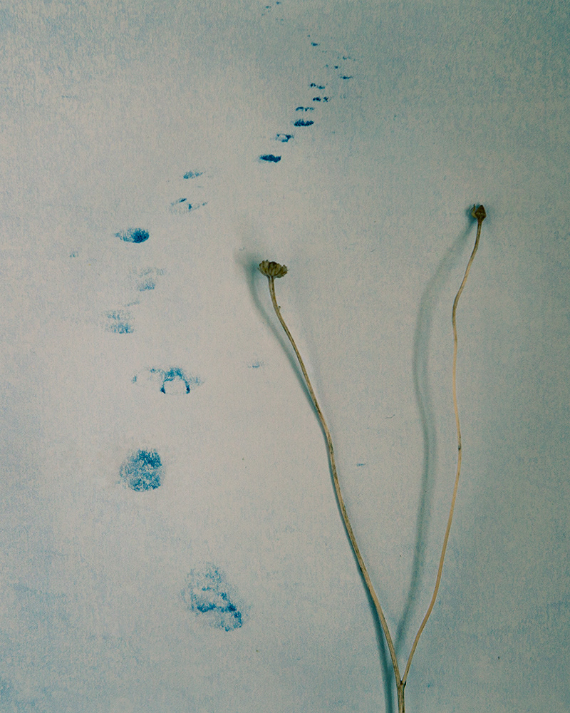 Untitled (Halla 2), 2013 Gicleé print 18 x 23 cm, Edition 10 + 2 AP, Prints available