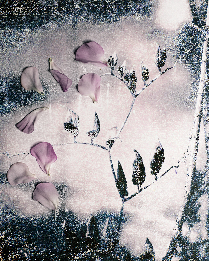 Untitled (Autumn 5), 2013 Gicleé print 18 x 23 cm, Edition 10 + 2 AP, Prints available