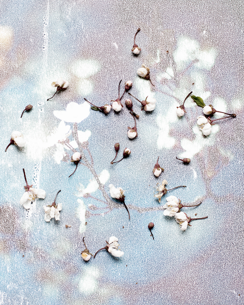 Untitled (Nocte 2), 2013 Gicleé print 34 x 27 cm, Edition 10 + 2 AP, Prints available