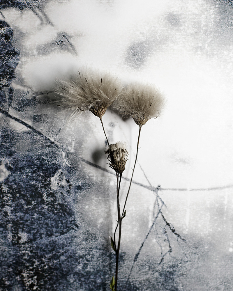 Untitled (Autumn 6), 2013 Gicleé print 18 x 23 cm, Edition 10 + 2 AP, Prints available