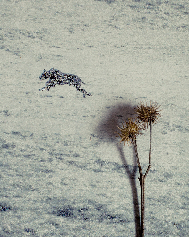 Untitled (Halla 4), 2013 Gicleé print 18 x 23 cm, Edition 10 + 2 AP, Prints available