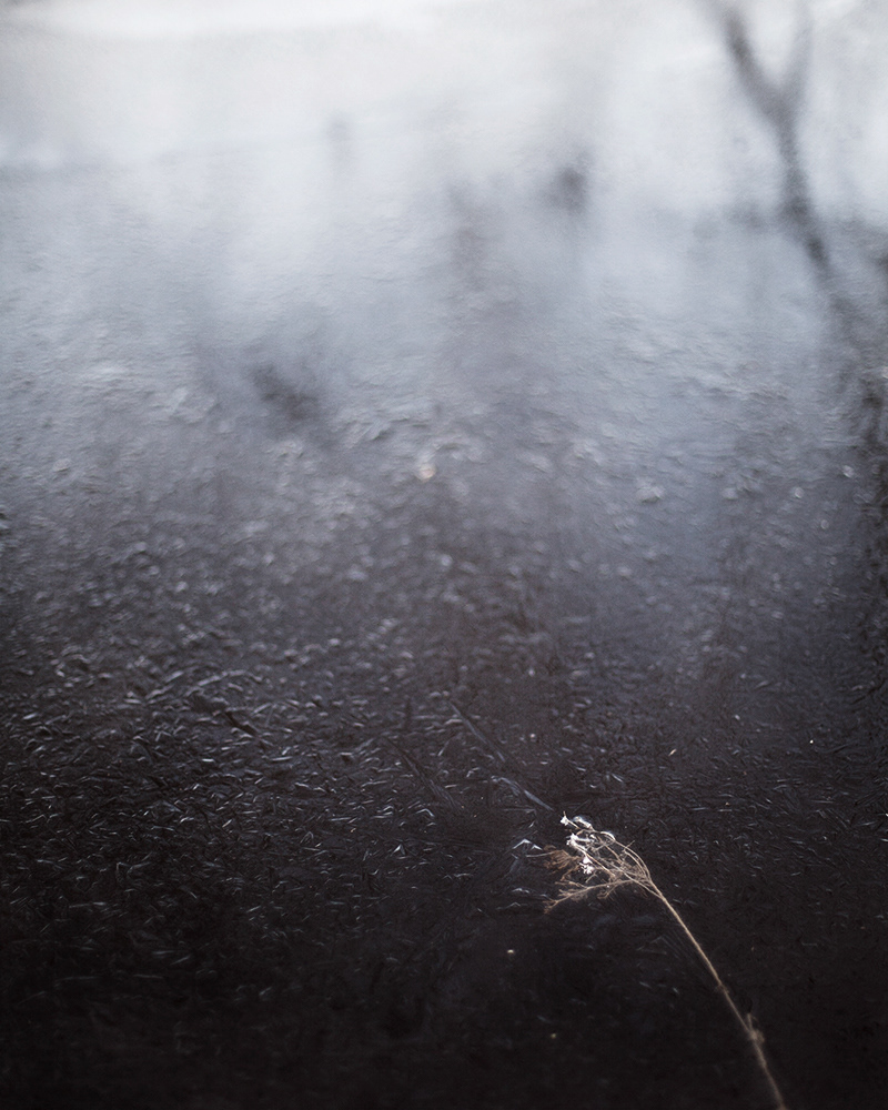 Untitled (Winter Study 3), 2016 Gicleé print 40 x 50 cm, Edition 30 + 2 AP, Prints available