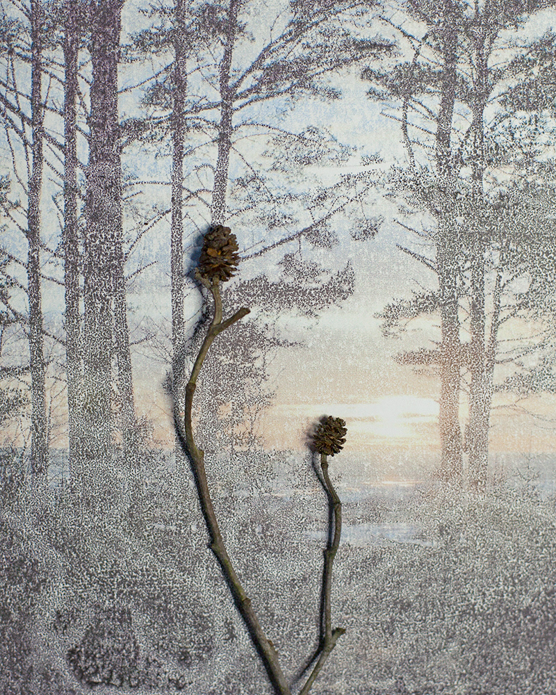 Untitled (Halla 11), 2013 Gicleé print 18 x 23 cm, Edition 10 + 2 AP, Prints available