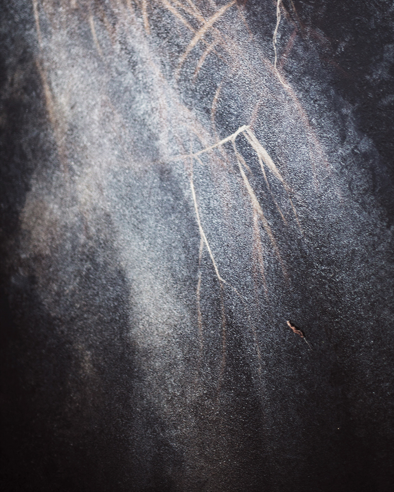 Untitled (Winter Study 2), 2016 Gicleé print 40 x 50 cm, Edition 30 + 2 AP, Prints available