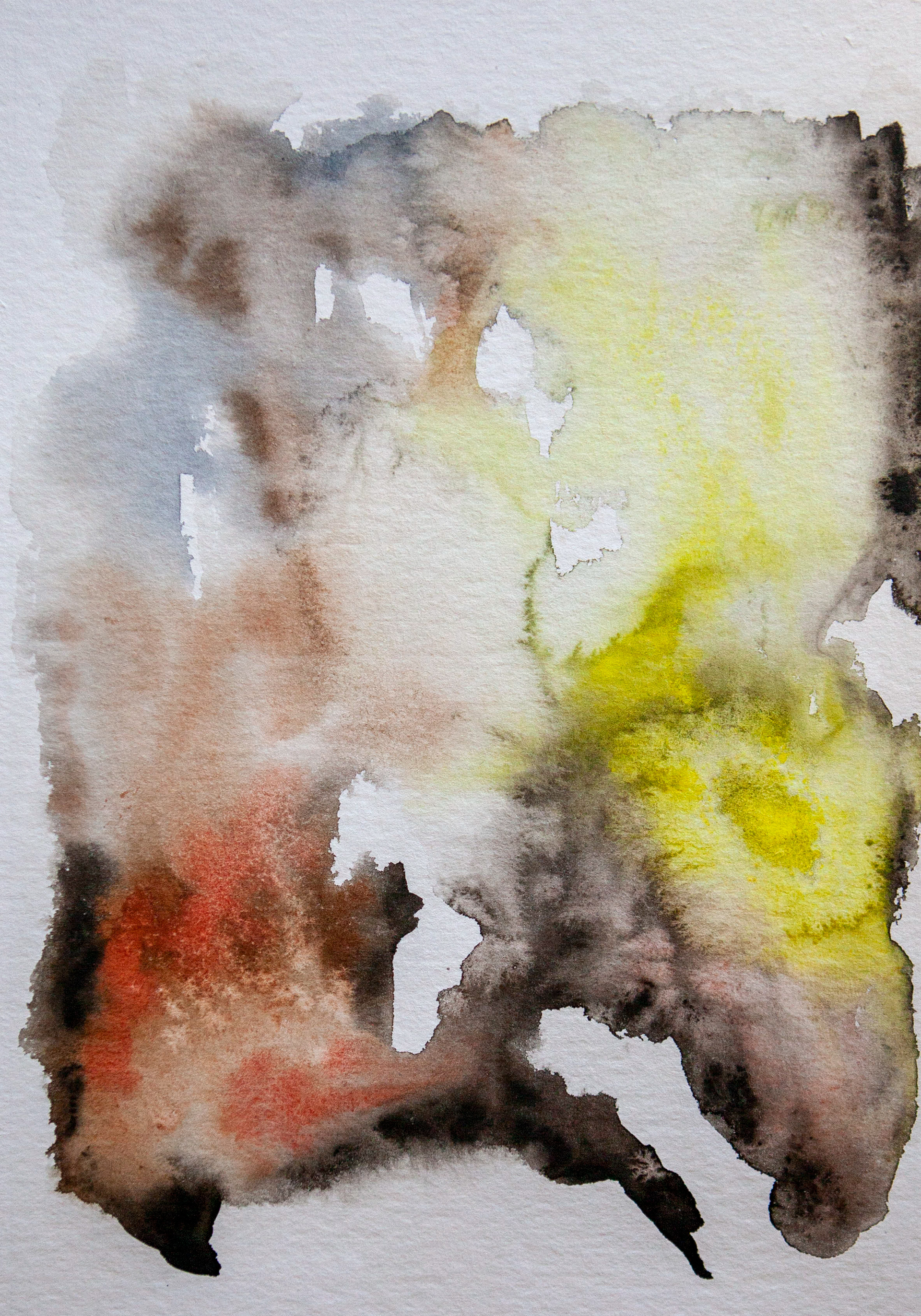 Kultasirkku 1 / Yellow-breasted bunting 1, 2021, Aquarelle on paper, 30 cm x 21 cm