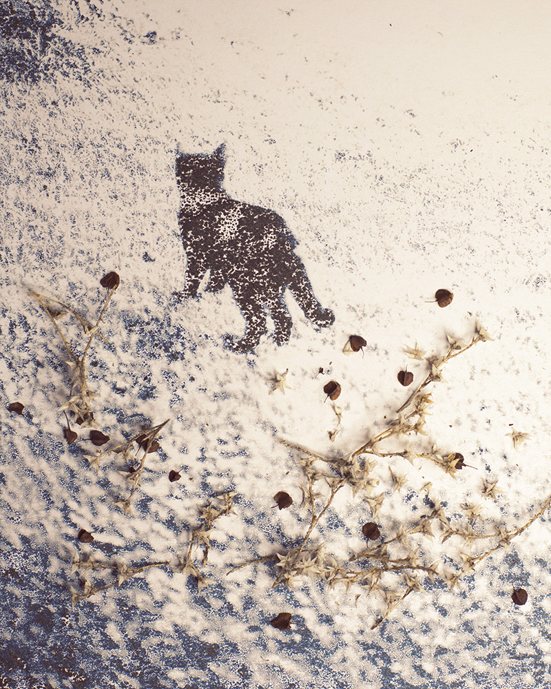 Untitled (Halla 12), 2013 Gicleé print 18 x 23 cm, Edition 10 + 2 AP, Prints available