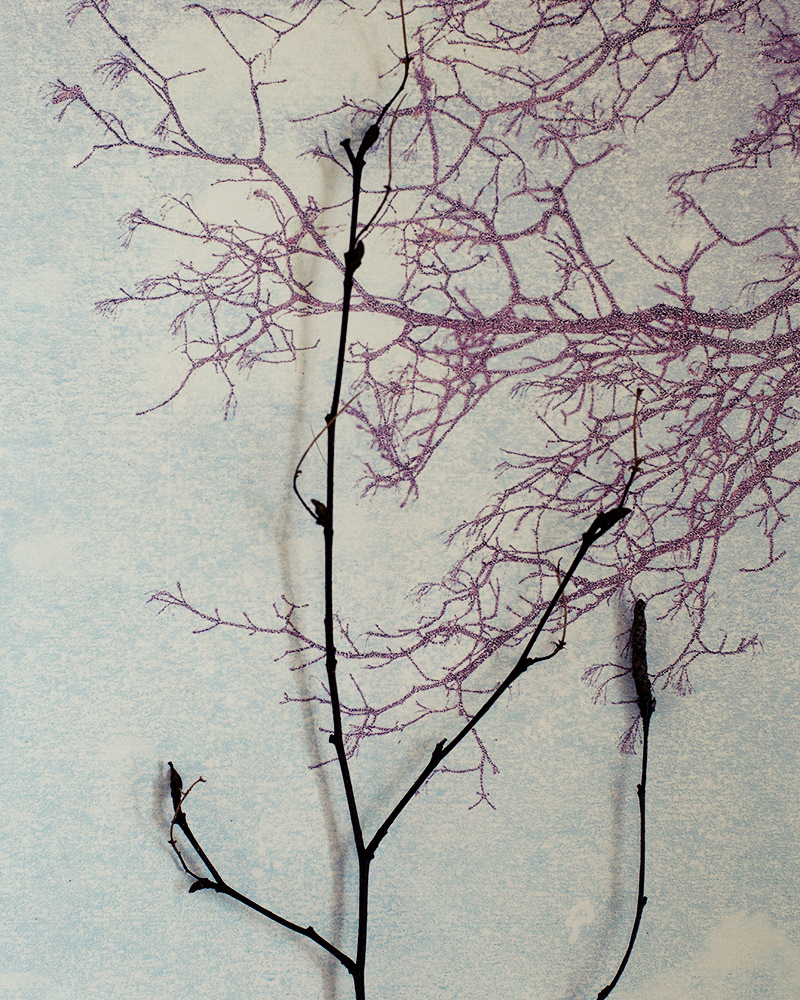 Untitled (Halla 3), 2013 Gicleé print 18 x 23 cm, Edition 10 + 2 AP, Prints available