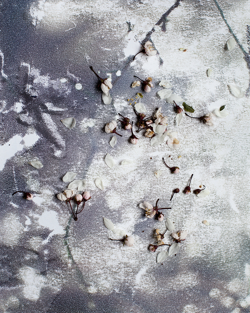 Untitled (Nocte 1), 2013 Gicleé print 34 x 27 cm, Edition 10 + 2 AP, Prints available