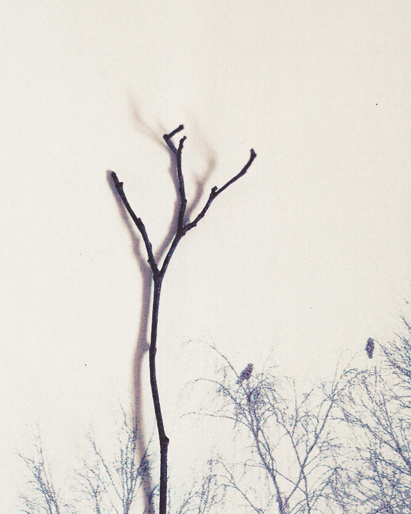 Untitled (Halla 9), 2013 Gicleé print 18 x 23 cm, Edition 10 + 2 AP, Prints available