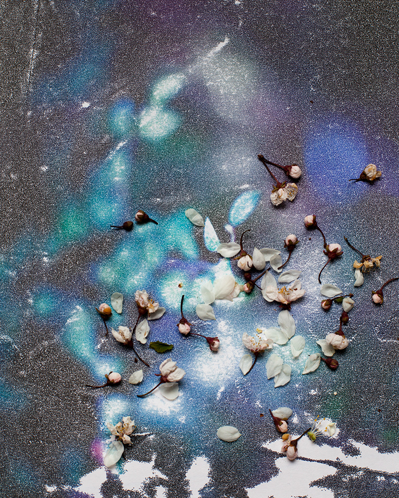 Untitled (Nocte 3), 2013 Gicleé print 34 x 27 cm, Edition 10 + 2 AP, Prints available