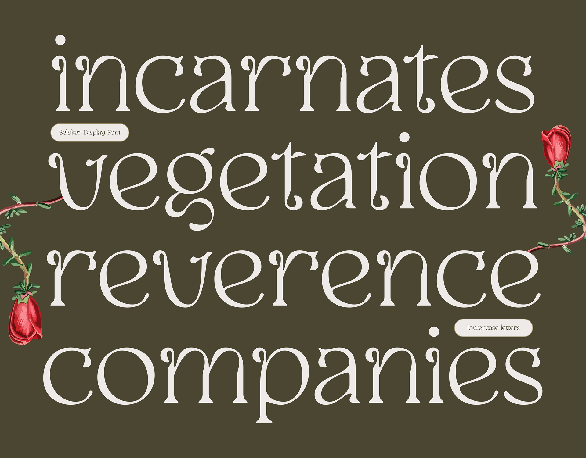 Vintage whimsical display serif font for luxury branding, beauty products, logotype, web design, app, invitations
