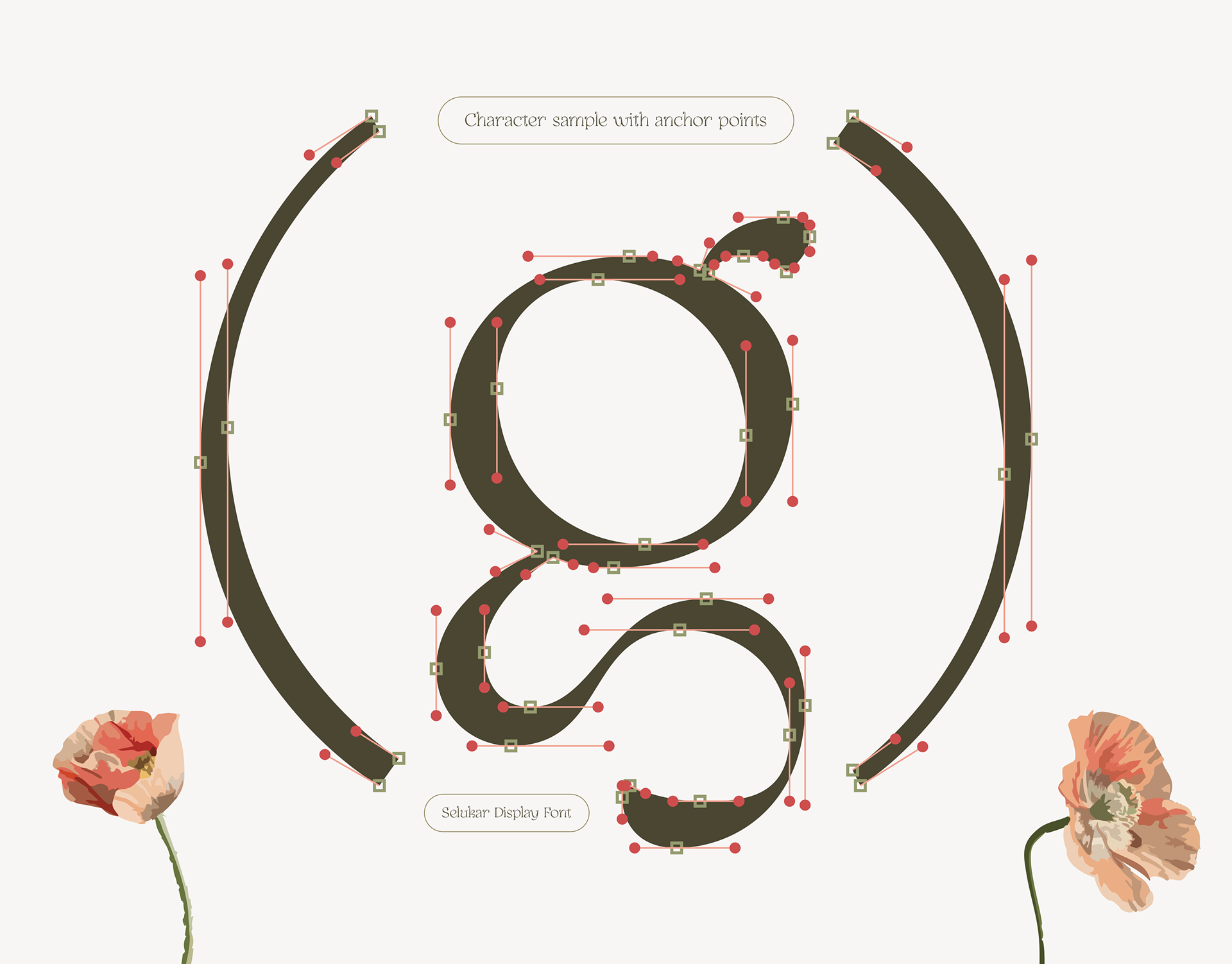 letter type specimen with vector anchor points from Selukar vintage serif display font