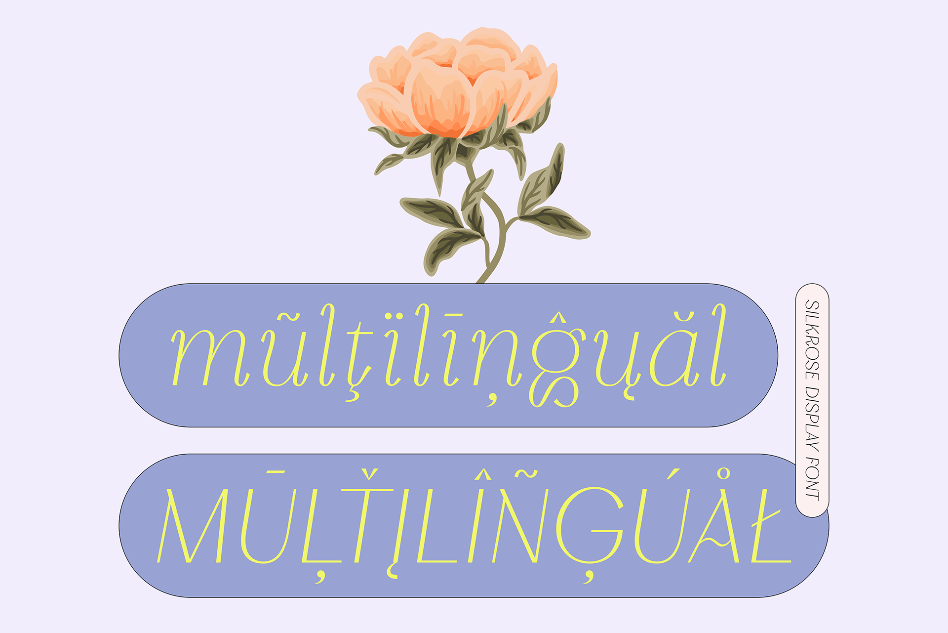 Silkrose display font is available with multilingual characters