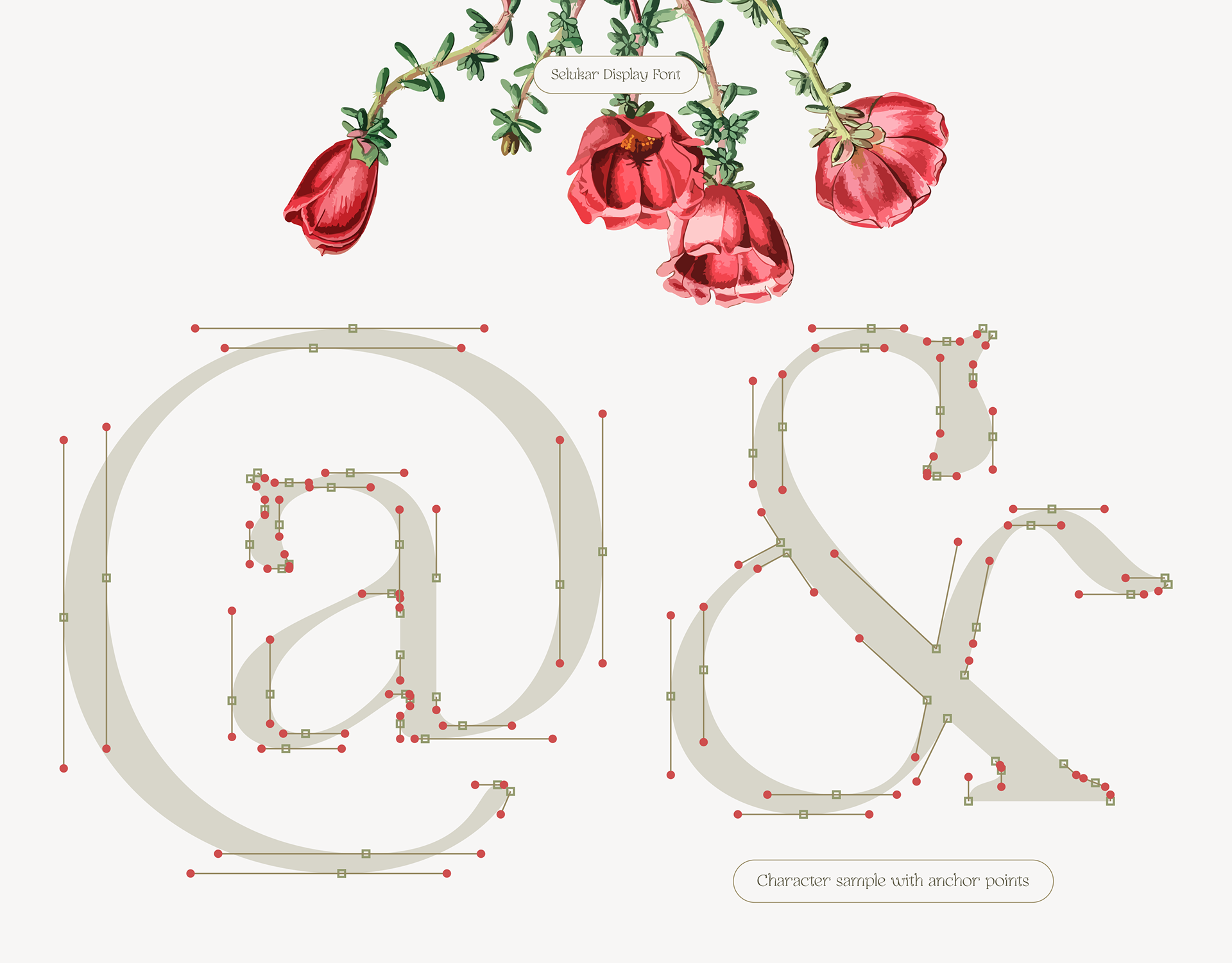 Type specimen with vector anchor points from Selukar vintage display serif font