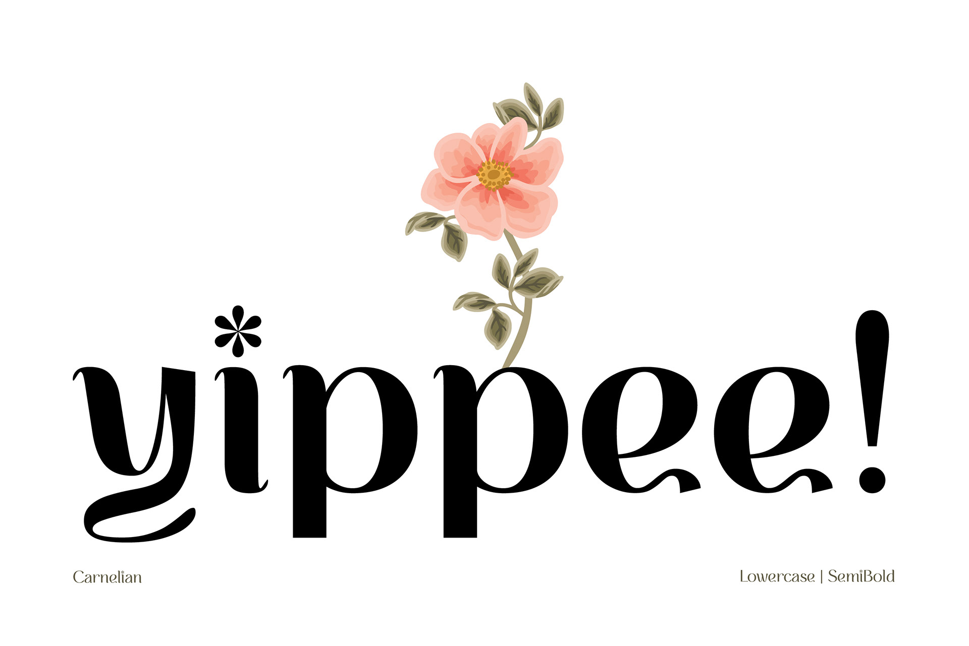 Aesthetic Carnelian font featuring graceful and feminine shapes and curves, suitable for quote, book cover title, brand identity, and decorative purposes