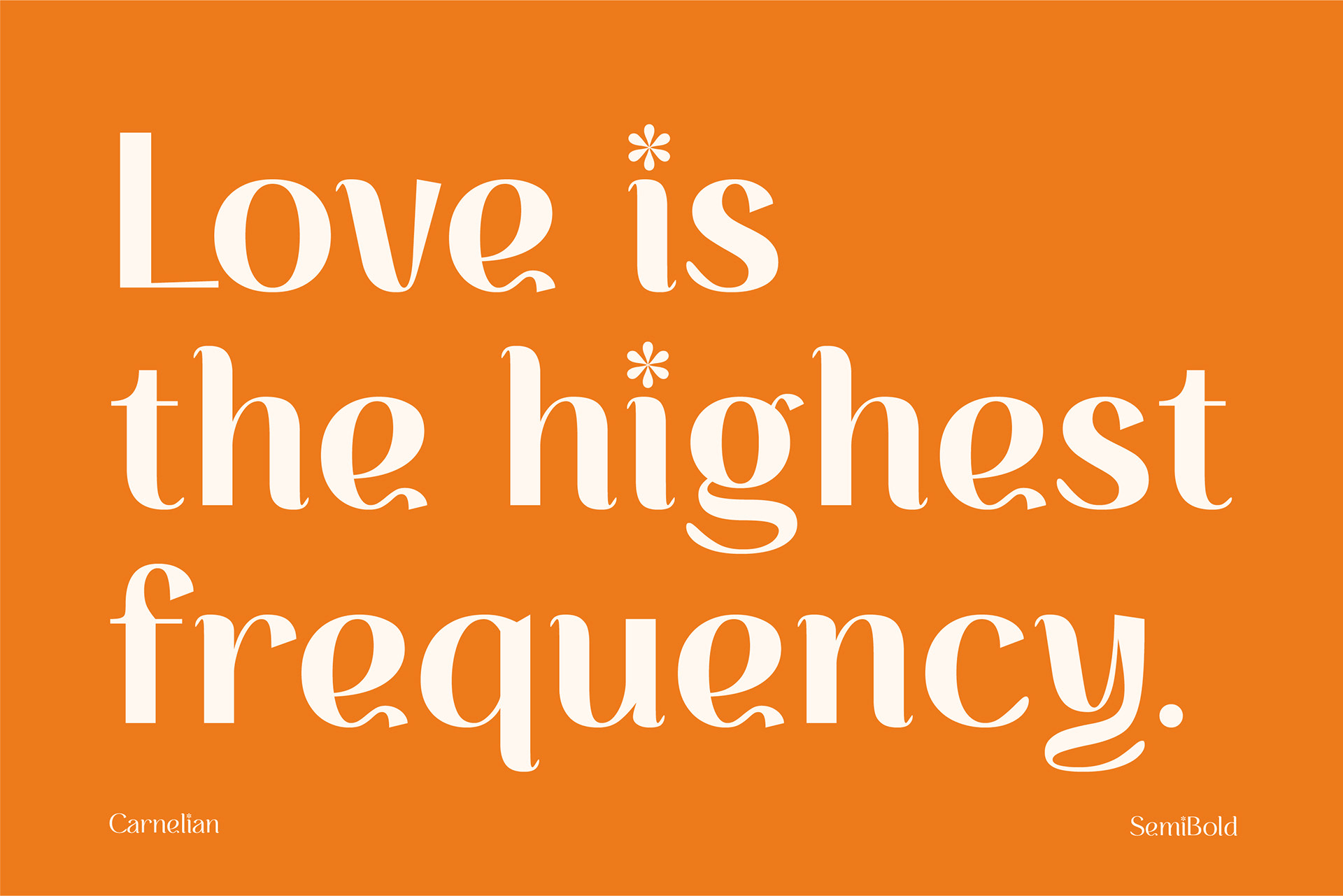 - Aesthetic Carnelian font featuring graceful and feminine shapes and curves, suitable for quote, book cover title, brand identity, and decorative purposes