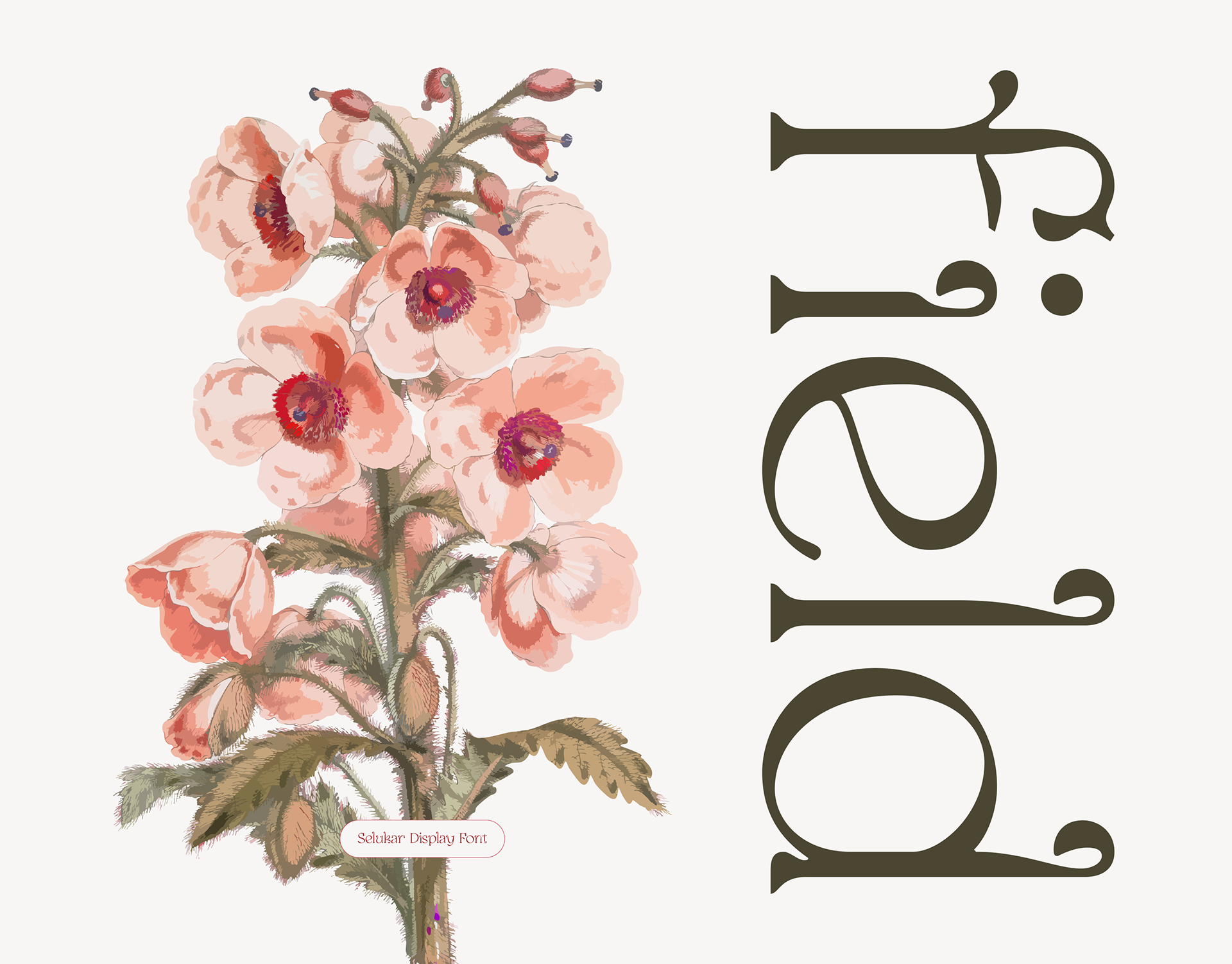 Vintage letters from Selukar vintage display serif font