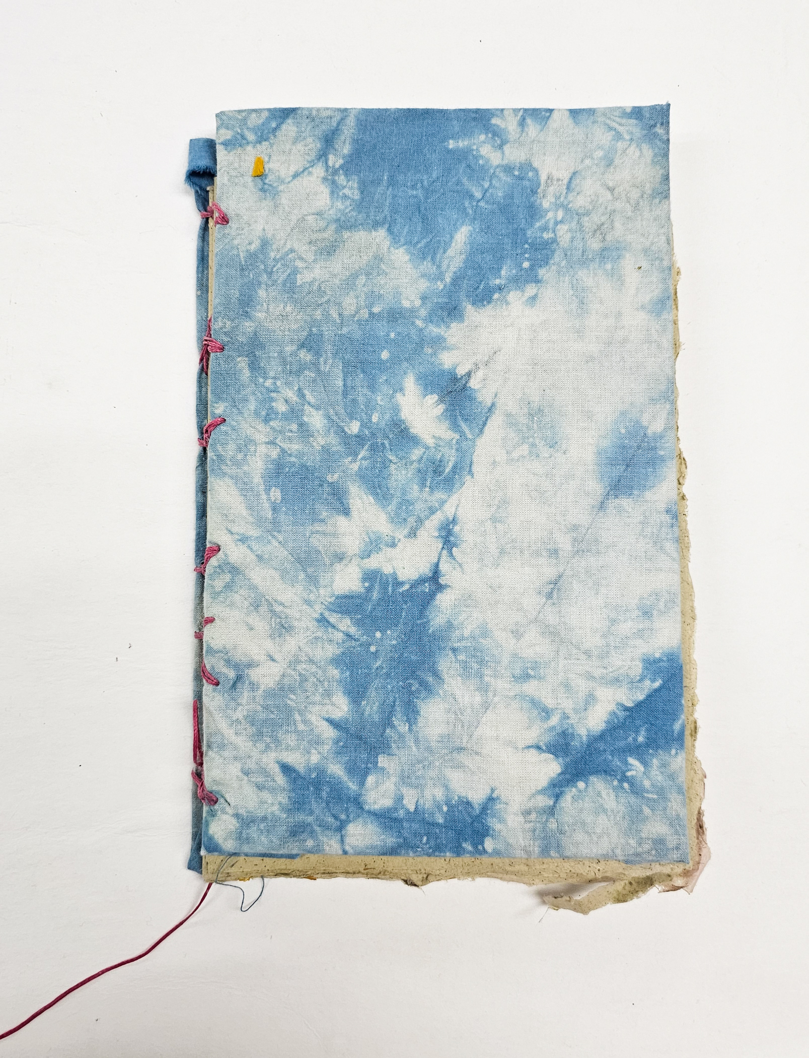 Savannah Flores, Cloudy Day, 2023. Cotton Dyed with Indigo Cover Coptic Bound Book with Marigold, Pampas Grass, and Rose Petal Paper, 6” x 9 ½.”
