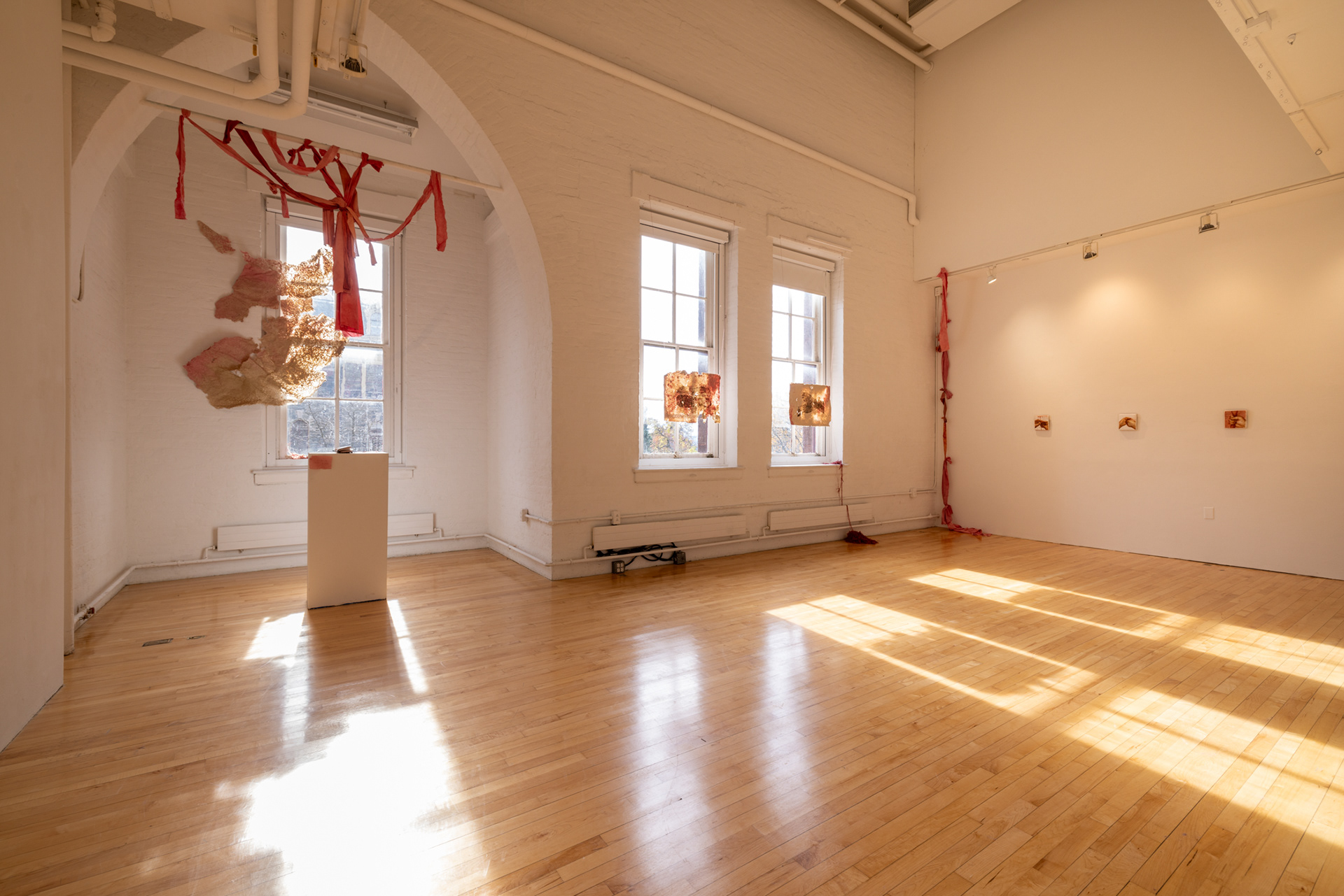 Savannah Flores, Salt: Reconnecting and Disconnecting, 2023. Various Mediums.
