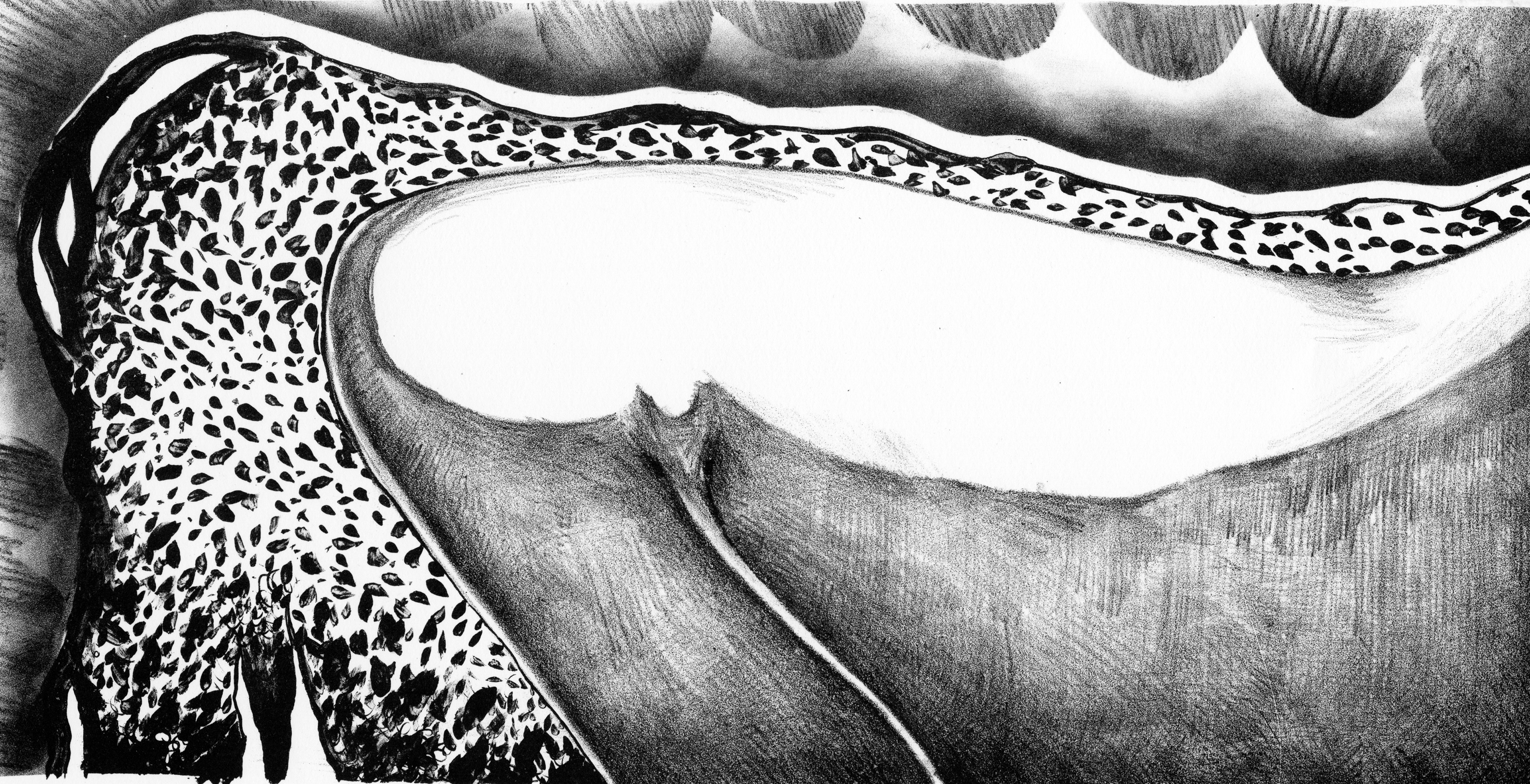 Stone Lithography on BFK Rieves