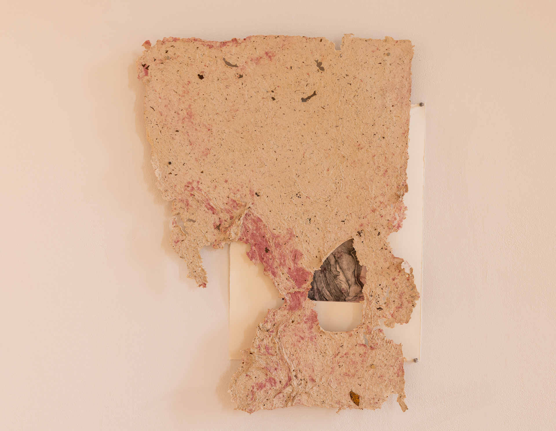 Savannah Flores, Give and Give/Take and Take, 2023. Intaglio with Soap-ground and Soft-ground on Cochineal (Pink/Red tones) paper Pulp painted onto Corn Husk Abaca and Cotton Paper, 20” x 30”.