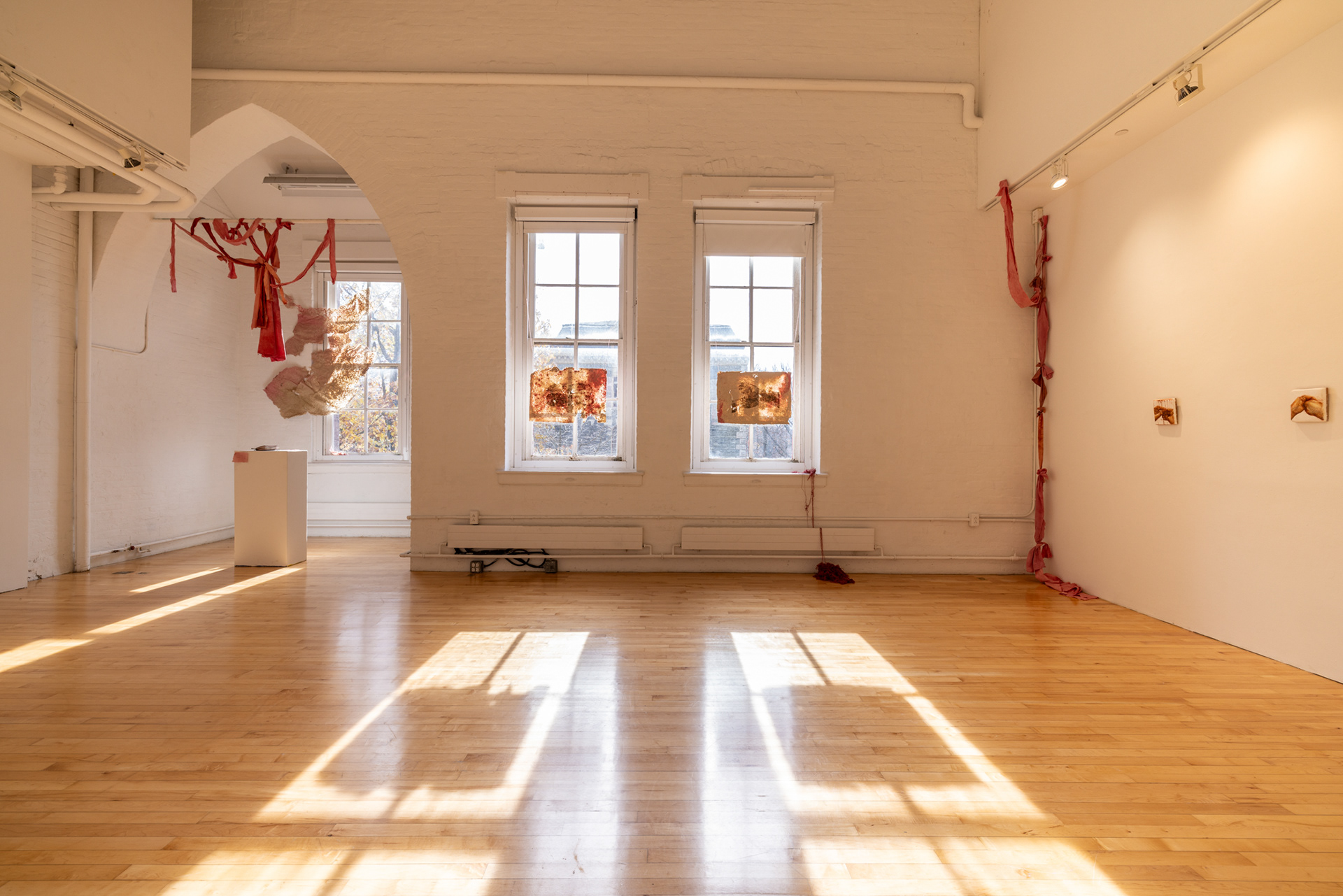 Savannah Flores, Salt: Reconnecting and Disconnecting, 2023. Various Mediums.