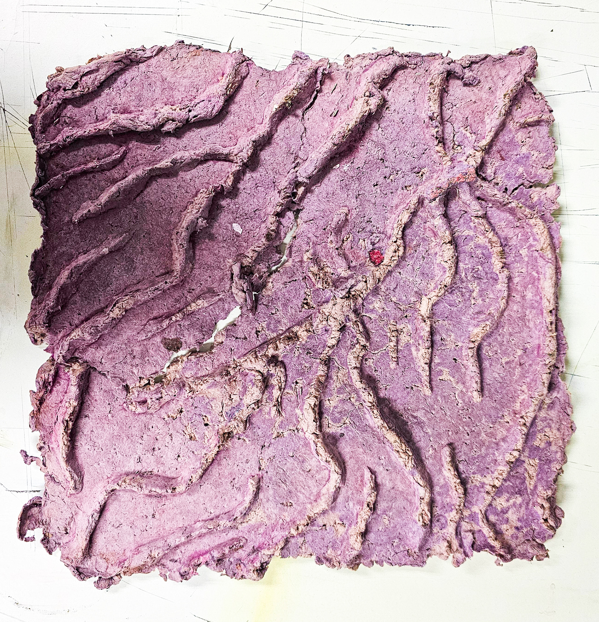 Savannah Flores, Tiger (Stretch) Marks, 2023. Cotton Paper dyed with madder root, 9” x 9.”